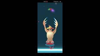 《Pokemon Go》超級進化「大比鳥」(MEGA Pidgeot)