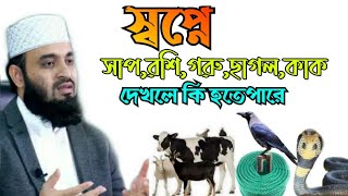 স্বপ্নে সাপ,রশি,গরু,ছাগল,কাক দেখলে আপনার সাথে কি হতে পারে শুনলে অবাক হবেন||মিজানুর রহমান আজহারী