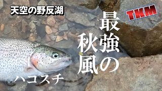 【天空の野反湖】寒いぞ野反湖💦ハコスチ放流5日後釣果　R5 10 7