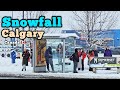 Snowfall in Calgary Alberta Canada 🇨🇦 #canada #calgary #Alberta #snow