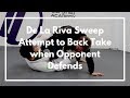 De La Riva Sweep Attempt to Back Take when Opponent Defends