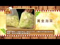 【料理美食王精華版】diy黃金泡菜 超涮嘴一口接一口