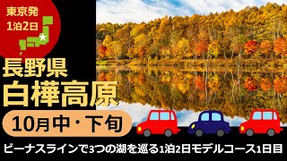 【国内旅行おすすめ】松本城と花火を楽しむ1日目！ 2021年10月中・下旬 1泊2日 東京発 白樺高原 その6『ビーナスラインで3つの湖を巡る1泊2日モデルコース1日目』