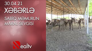 Sabiq məmurun Maral sevgisi