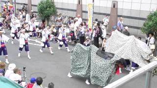 103　空山商店『葉月』アクトピア会場 えひめYOSAKOI祭り2014