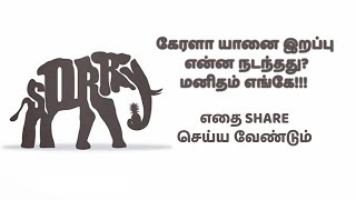 கேரளா யானைக்கு நடந்தது என்ன ? மனிதநேயம் என்றால் என்ன? எதை பகிர வேண்டும்