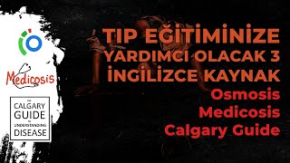 Tıp Eğitiminize Yardımcı Olacak 3 İngilizce Kaynak