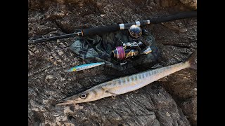 Shore jigging - Barracuda - new Shimano Stella SW 8000 HG