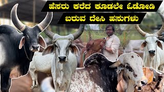 ಹೆಸರು ಕರೆದ ಕೂಡಲೇ ಓಡೋಡಿ ಬರುವ ದೇಸಿ ಹಸುಗಳು| Vardini desi cow farm