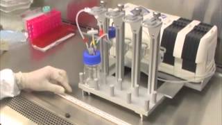 3D Perfusion Bioreactor