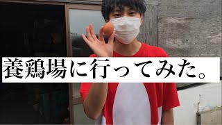 蓬田村に行く動画　