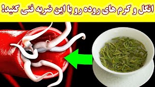 این علائم و نشانه ها یعنی کرم در روده و معده دارید ! و روش پاک کردن کرم ها از معده و روده ها