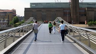 The movement of ponytails, ships and the Millennium Bridge - Professor Raymond E. Goldstein