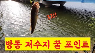 대전 방동저수지 배스 꿀 포인트 천기누설급 feat.천사장님_호맥(합정)