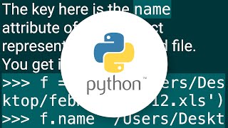 Get path from open file in Python