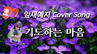 cover by.잎새예지-기도하는마음(김태정)