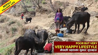 Nepali Beautiful Mountain Village Life || Poor but Very Very Happy Lifestyle || IamSuman