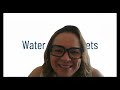 webinar britcham managing a sustainable transition toward water resilience