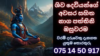 ශිව දෙවියන්ගේ අවසර සහිත නාගපත්තිනි ඔසුවරම WHATSAPP 075 1450917 #waram#වරම්#සිහිවරම්#dewaarana#දේවඅරණ