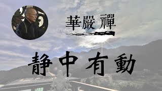 大華嚴寺 | 華嚴禪法 | 靜中有動