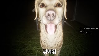 강아지랑 밤산책하는 공포게임 하다가 질질 짰습니다ㅜㅜ