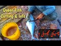 Queen Fish Cutting & Info | Saram Machli #queenfish #saram #fish