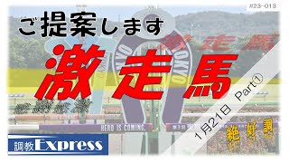 調教Express（2023年1月21日　中山11Ｒ初富士ステークス）