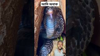 কাল গোখরার রাগ 🤬🤬#viralvideo #reels #shortvideo #shortviral #snake #video #shorts #ytshorts