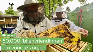 💕🐝| Oekraïense imker krijgt in Rotterdam 60 duizend bijen