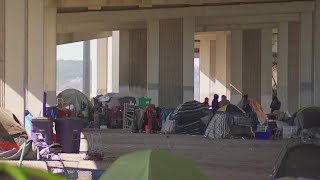 Questions arise about accuracy of in-person homeless count | FOX 7 Austin