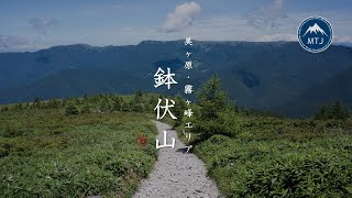 鉢伏山｜美ヶ原・霧ヶ峰エリア【登山・ハイキング・日帰り・車・2024年8月1日】長野県　美ヶ原高原ロングトレイル