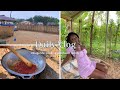 Day in my life | living in ghana 🇬🇭| life as a city girl in the village | cooking jollof 🧑‍🍳🍃