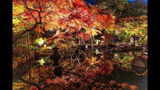 秋の鎌倉湖畔　池上眞吾作曲　”Autumn by the Laleside in Kamakura”  Composed by Shingo Ikegami