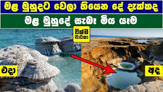 මළ මුහුද | Dead Sea | මළ මුහුදේ සැබෑ මියයෑම | Wishma Charika | Mala Muhuda | Sri Lanka | LK