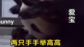 爱宝有了第一次生福宝的经验，这次双胞胎的生产很娴熟