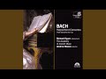 Concerto in E Major, BWV 1053: III. Allegro