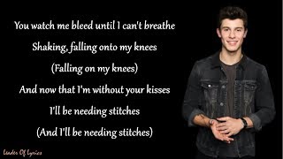 Shawn Mendes - STITCHES (Lyrics)