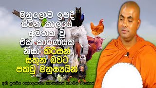 සත්ව ලෝකයේ සෑම සත්වයෙක්ම පෙර විවාහ වී සතුටින් ජීවත් වූ මනුෂ්‍යයින් | Koralayagama Saranathissa Thero