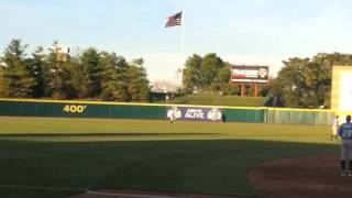 Hawk on Springfield Cardinals Field