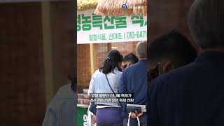 양평군, 제13회 양평 용문산 산나물 축제 개최 확정