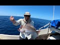 how to catch snapper on soft plastics made simple