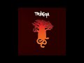 Tribeqa - Amali