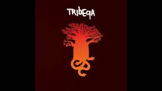 (Wednesday’s Top Sample 😎) Tribeqa - Amali