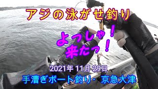 【ボート釣り】アジ爆釣！そのアジの泳がせ釣りでワラサ・ヒラメ・ドラゴン級タチウオを狙う。京急大津・石田丸ボート2021/11/29