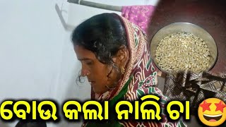 ବୋଉ କଲା ନାଲି ଚା 🤩 || #143 Vlog