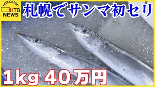 札幌でサンマの初競り　過去最高額に並ぶ１キロ４０万円の最高値　「今年は形もばっちり」