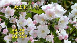 七真如 11頌 詞曲唱/鄭醫師融熙  編曲/趙紅軍