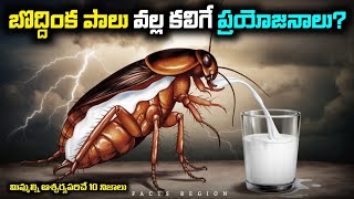 బొద్దింక పాలు వల్ల కలిగే ప్రయోజనాలు...?|| cockroach milk benifits...?||@factsregion