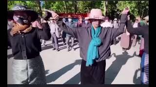 Tibetan new circle Dance 2021