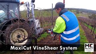 MaxiCut Vineshears System | Solving vineyard dieback | Remove Eutypa |